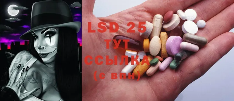 как найти   Валдай  LSD-25 экстази ecstasy 