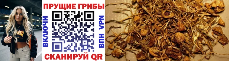 omg ССЫЛКА  Валдай  Галлюциногенные грибы Magic Shrooms 